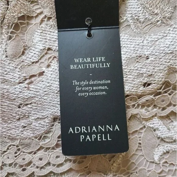 NWT Adrianna Papell Dusty Rose Embroidered Lace Popover Dress Size 2 NEW - Picture 8 of 15